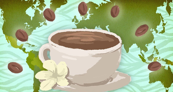 Bạn có biết cà phê bạn uống mỗi ngày đến từ đâu?