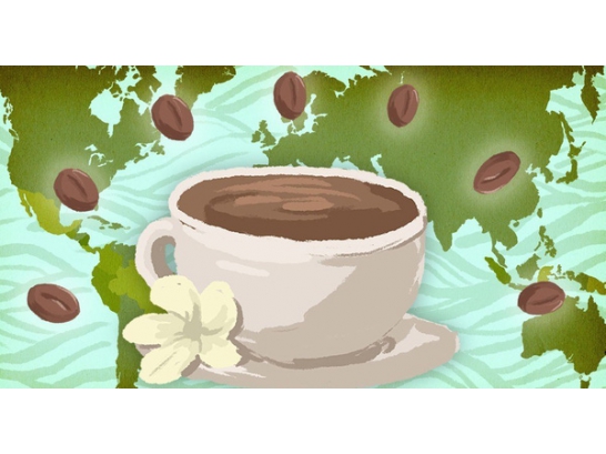 Bạn có biết cà phê bạn uống mỗi ngày đến từ đâu?
