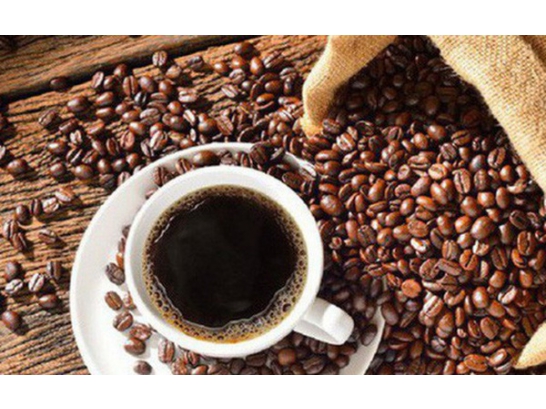 Cùng nông dân làm cà phê sạch