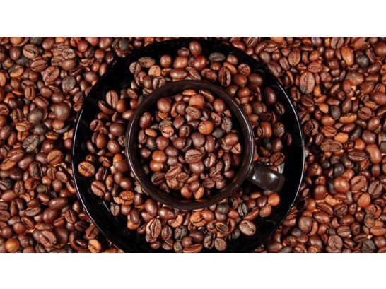 Cà phê - Loại thức uống hòa nhịp với sự sáng tạo tự nhiên