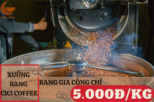 RANG CÀ PHÊ GIA CÔNG