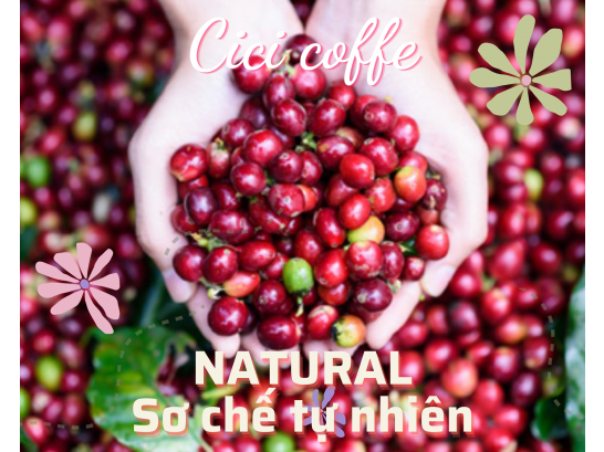  CÀ PHÊ SƠ CHẾ NATURAL