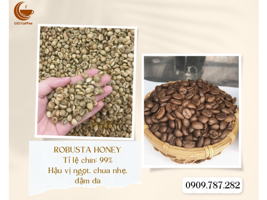 Bạn có bao giờ thắc mắc Phương pháp chế biến CÀ PHÊ ROBUSTA HONEY như thế nào không?