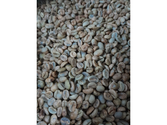 Robusta Honey S18 tại kho Sài Gòn và Vũng Tàu