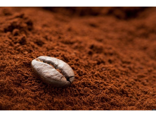 12 công dụng của bã cà phê – “kho báu” tuyệt vời ít người biết