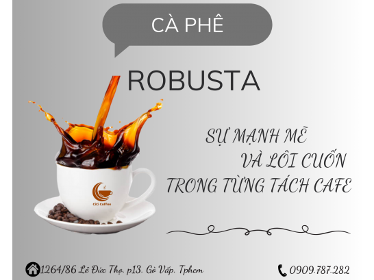 ROBUSTA - SỰ MẠNH MẼ VÀ LÔI CUỐN TRONG TỪNG TÁCH CÀ PHÊ
