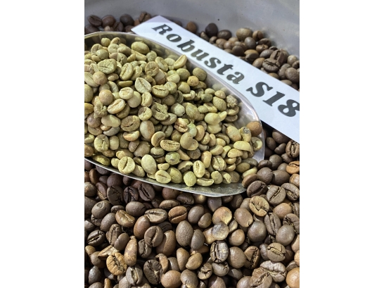 Mua hạt nhân xanh Robusta S18 chất lượng ở đâu?